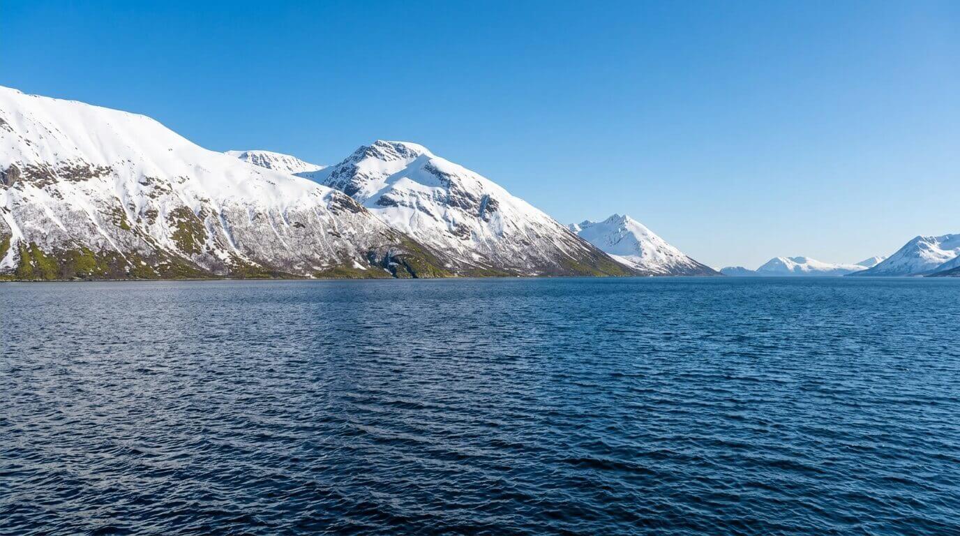 Fjord Excursion Tromso